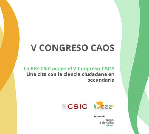 v congreso caos eez