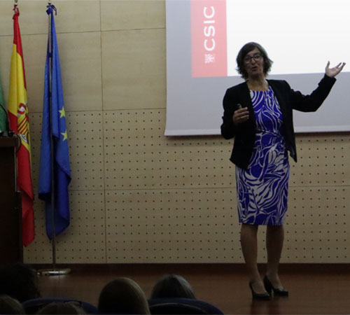 Imagen presentacion