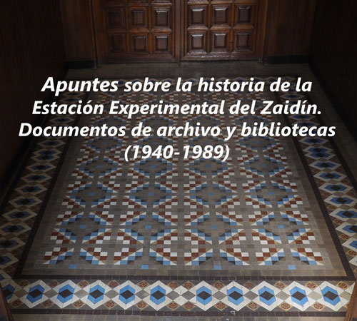 Suelo de la biblioteca de la EEZ