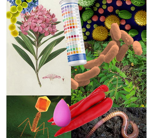 Imagen de portada del HSSASR volumen 14