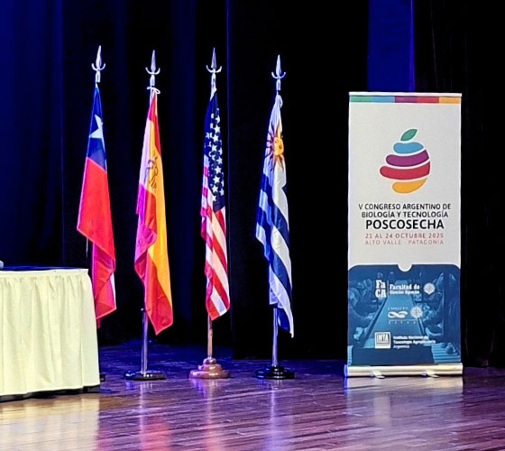 Imagen de banderas de Chile, España, Estados Unidos y Uruguay a la izquierda del cartel del congreso