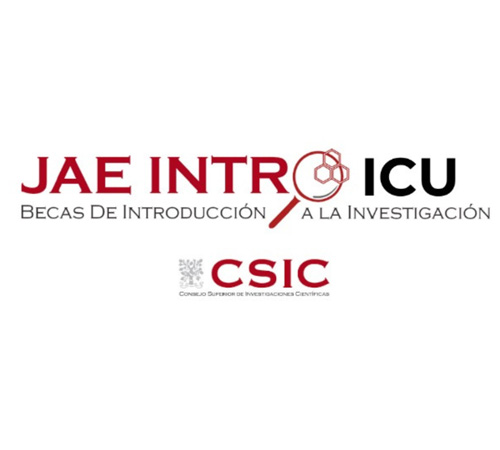Palabras en color rojo, con estilo de letra del CSIC que dice: JAE INTRO ICU - Becas de Introducción a la Investigación