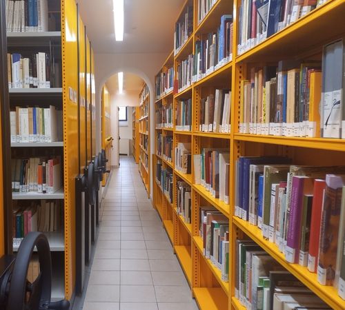 Pasillo de la biblioteca de la EEZ con estanterias amarillas y libros