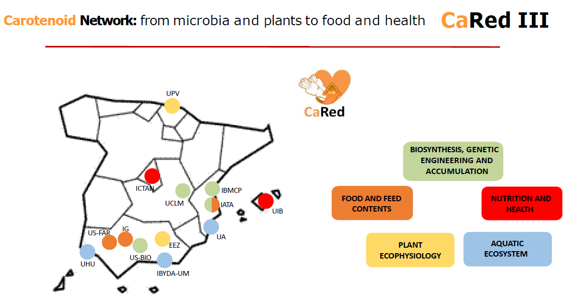 Mapa red CARED3