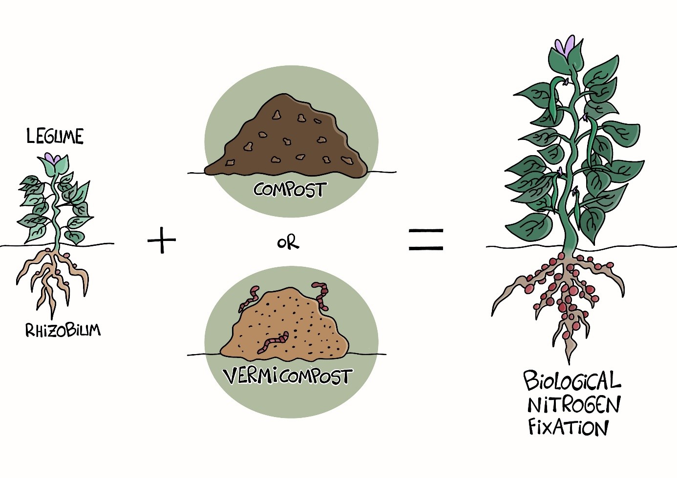 Esquema de funcionamiento del compost y vericompost