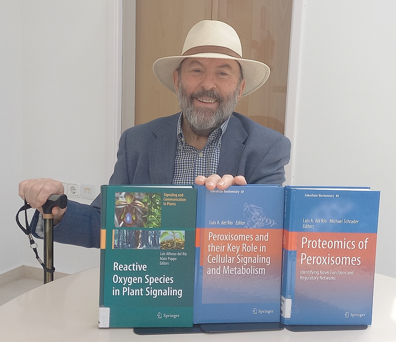 Luis Alfonso del Río