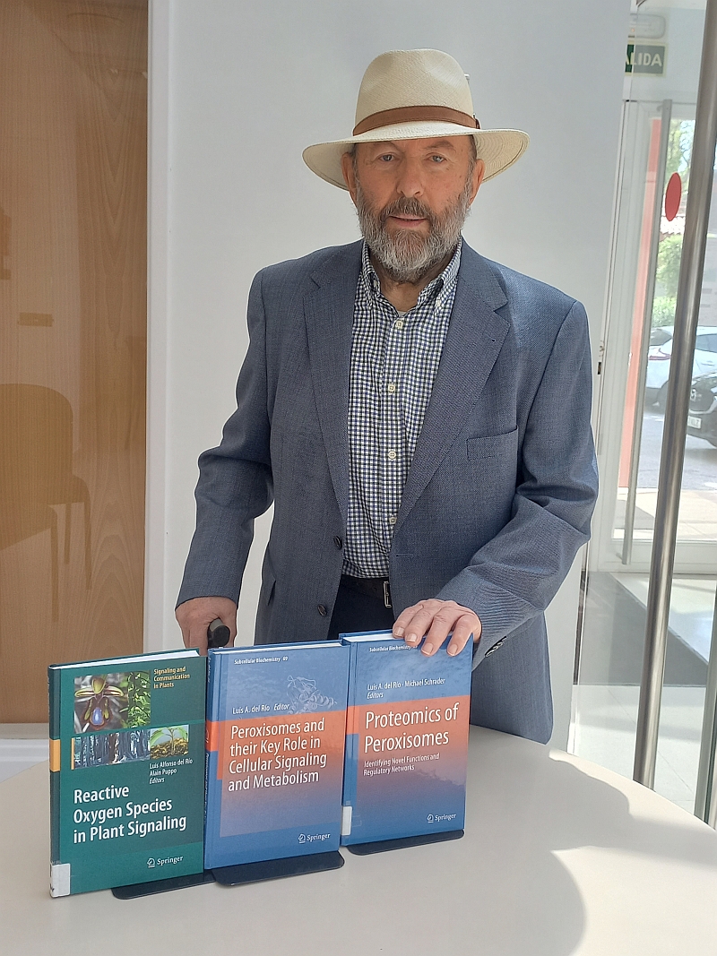 Luis Alfonso del Río