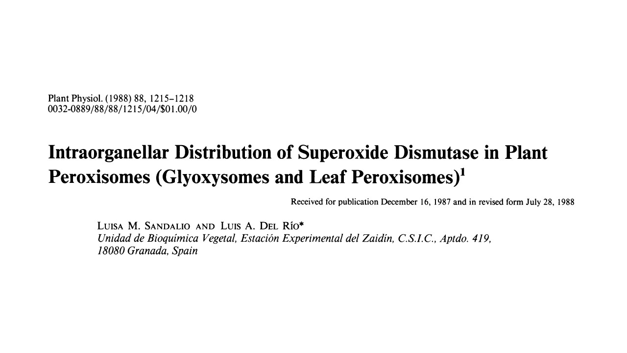 Publicacion Luis Alfonso del Río