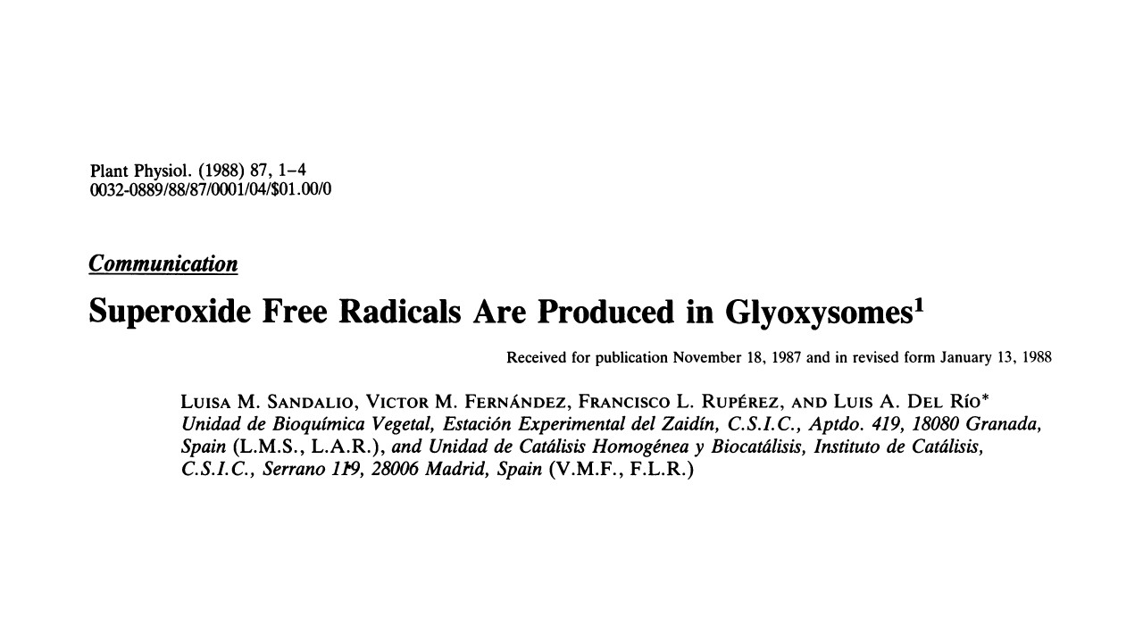 Publicacion Luis Alfonso del Río