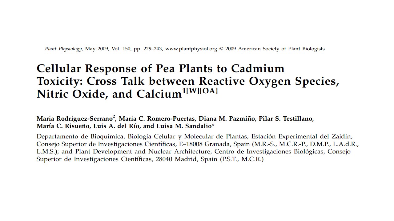 Publicacion Luis Alfonso del Río