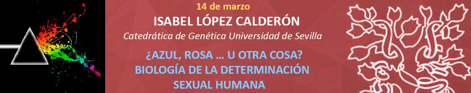 Seminario 14 marzo 2024
