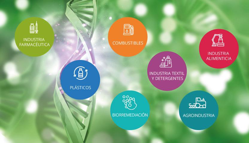 Cartel seminario La biotecnología del "día a día"