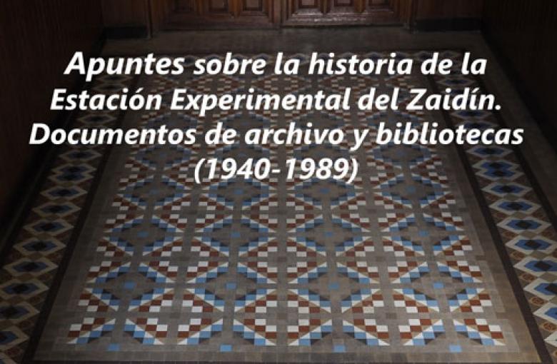 Suelo de la biblioteca de la EEZ