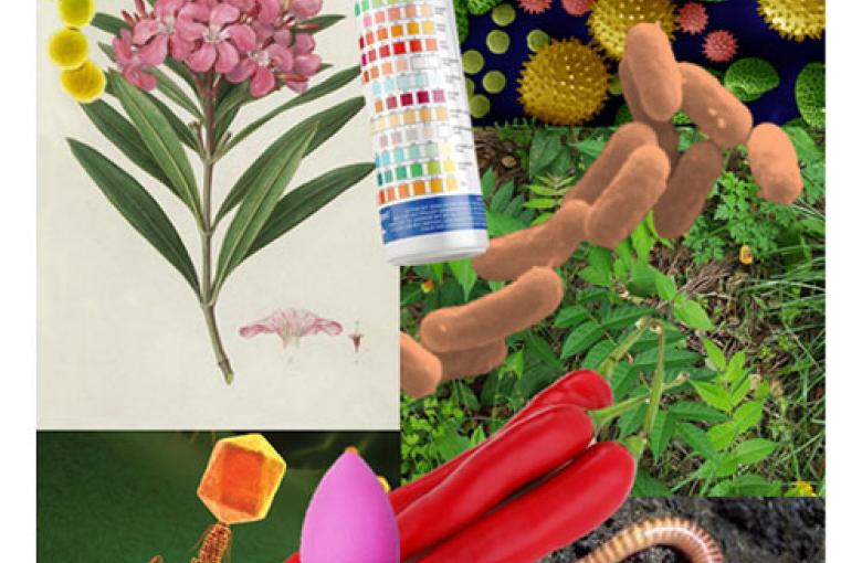 Imagen de portada del HSSASR volumen 14