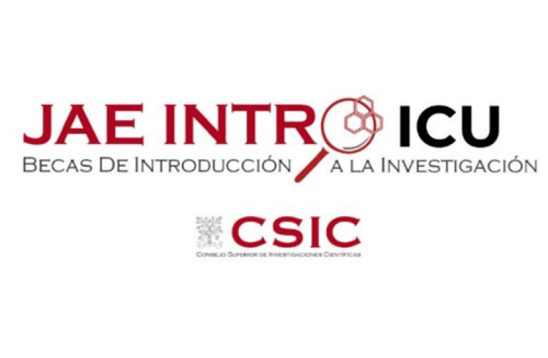 Palabras en color rojo, con estilo de letra del CSIC que dice: JAE INTRO ICU - Becas de Introducción a la Investigación