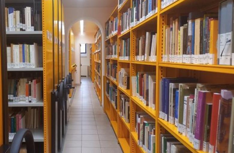Pasillo de la biblioteca de la EEZ con estanterias amarillas y libros