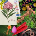 Imagen de portada del HSSASR volumen 14