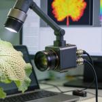 Imagen de microscopio apuntando sobre una hoja verde. De fondo se ve una imagen de escaner de dicha hoja en tonos naranjas