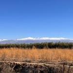 Imagen dividida en 4 capas: abajo plantas color marrón, después árboles verdes, sobre ellos sierra nevada blanca y por encima de todo el cielo azul